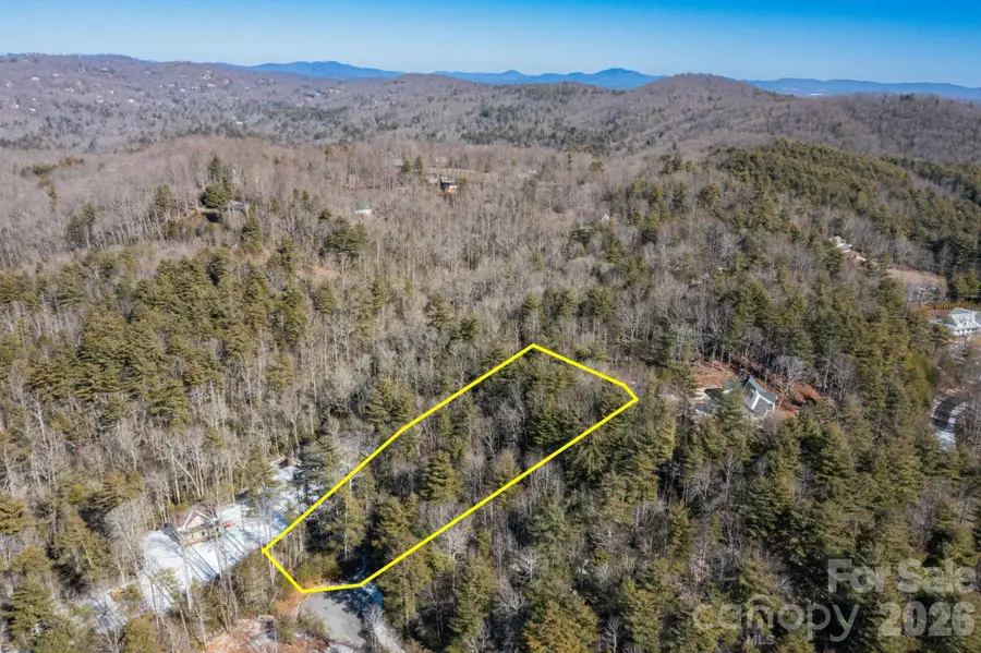 999 Trellum Trail #12, Hendersonville, NC 28739 - Image #3