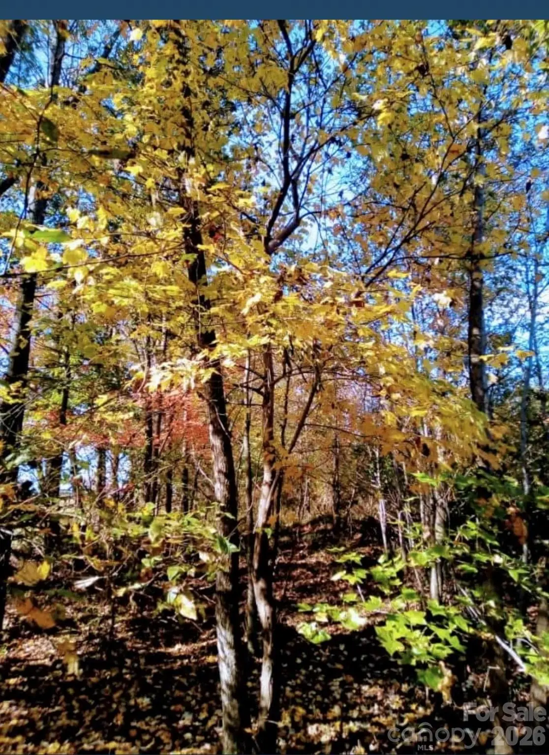 0000 Potter Road, Waxhaw, NC 28173 - Image #1