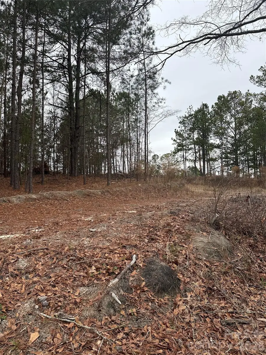 1626 Yankee Road, Lugoff, SC 29078 - Image #2