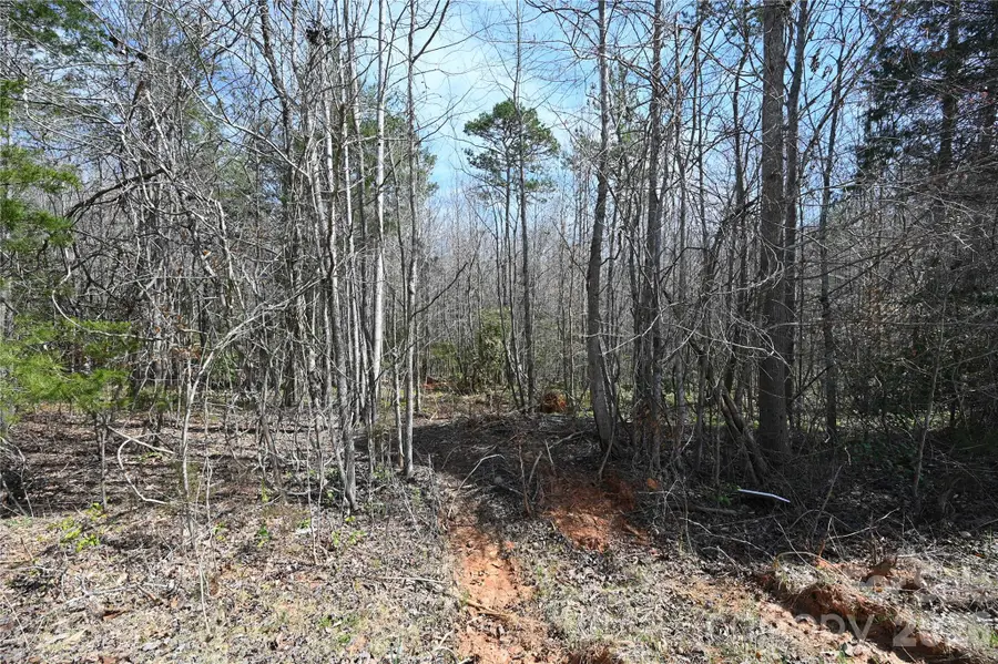 000 E Bells Branch Road #4, Blacksburg, SC 29702 - #3