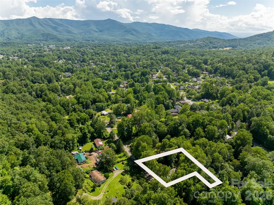 321 Flat Creek Road, Black Mountain, NC 28711 - #2