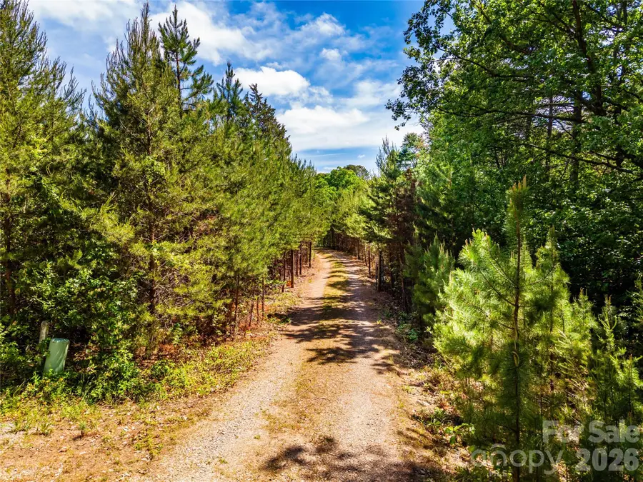 4515 Botany Trail, Maiden, NC 28650 - #3