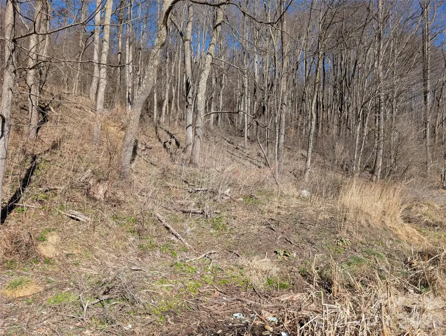 00 Great Smoky Mountain Expy Highway, Waynesville, NC 28786 - Image #3