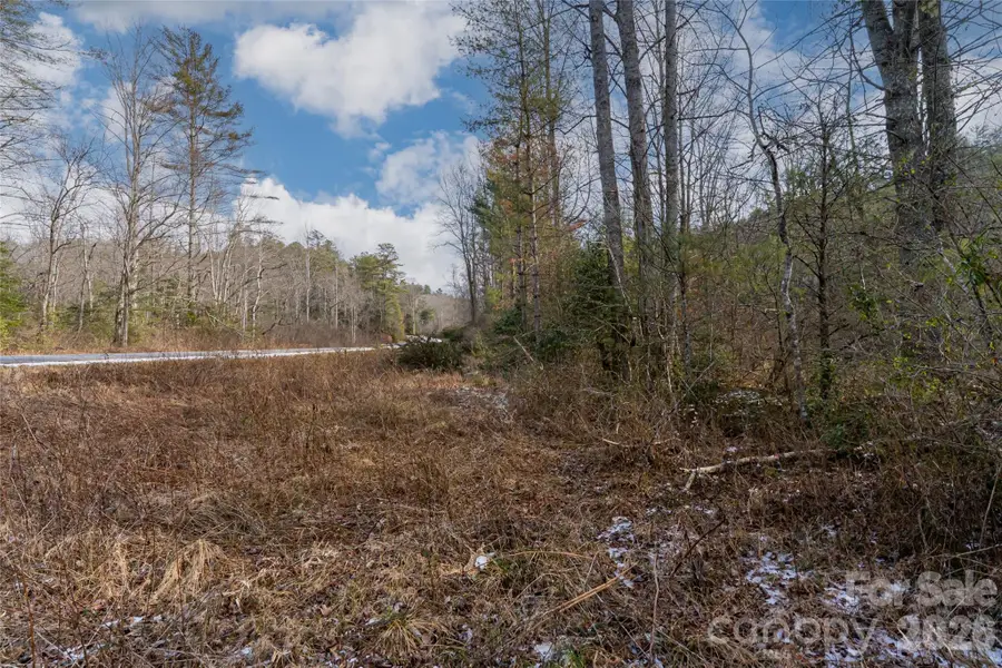 99999 Old Nc 280 Highway, Pisgah Forest, NC 28768 - #2