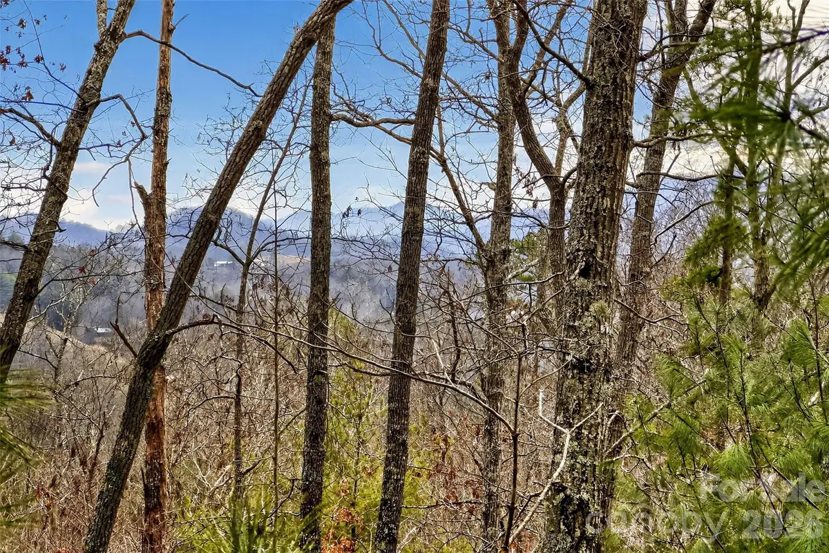 149 Turkey Trot Trail #17, Marshall, NC 28753 - #1