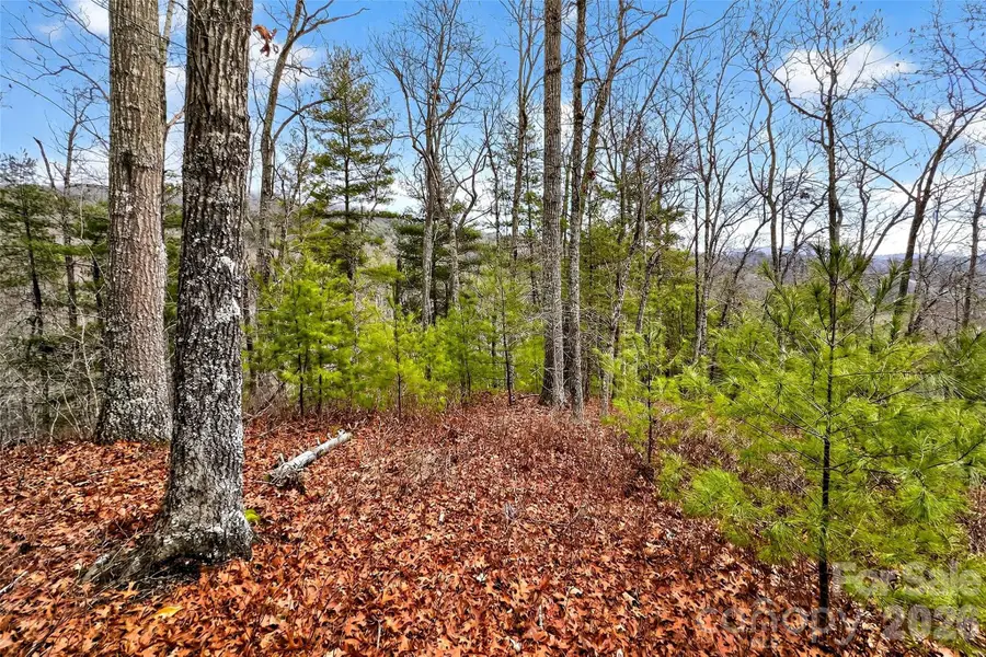 149 Turkey Trot Trail #17, Marshall, NC 28753 - #3