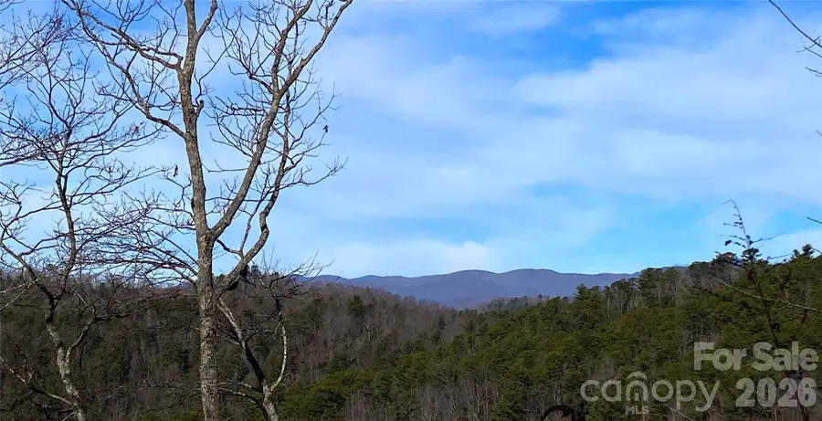 TBD Ruffed Grouse Road #L045, Brevard, NC 28712 - #2