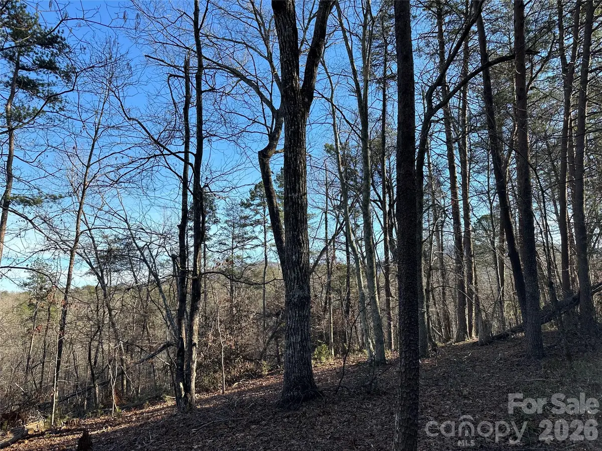 00 Hawkins Lane #8, Mill Spring, NC 28756 - #1