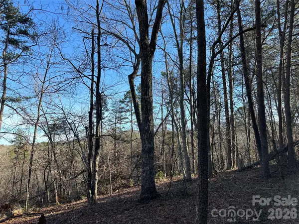 00 Hawkins Lane #8, Mill Spring, NC 28756