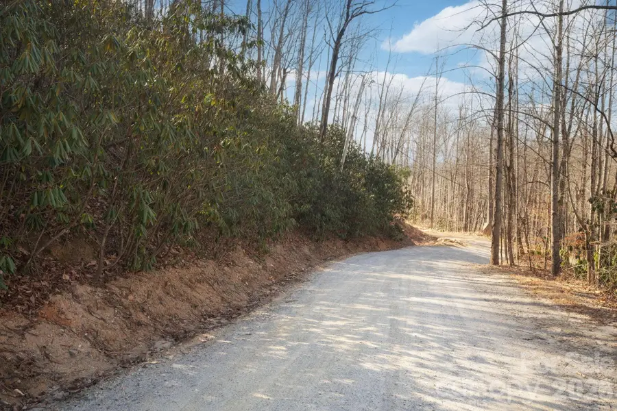 000 Bee Tree Road #103B, Swannanoa, NC 28778 - Image #2