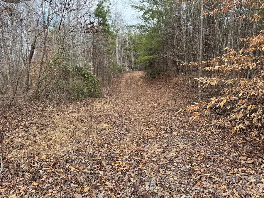 0 Hudlow Road, Rutherfordton, NC 28139 - Image #3