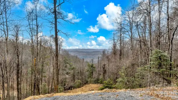 TBD Phillips Gap Road, Purlear, NC 28665