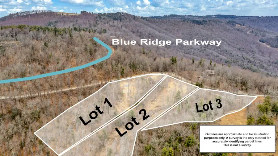 TBD Phillips Gap Road, Purlear, NC 28665 - #2