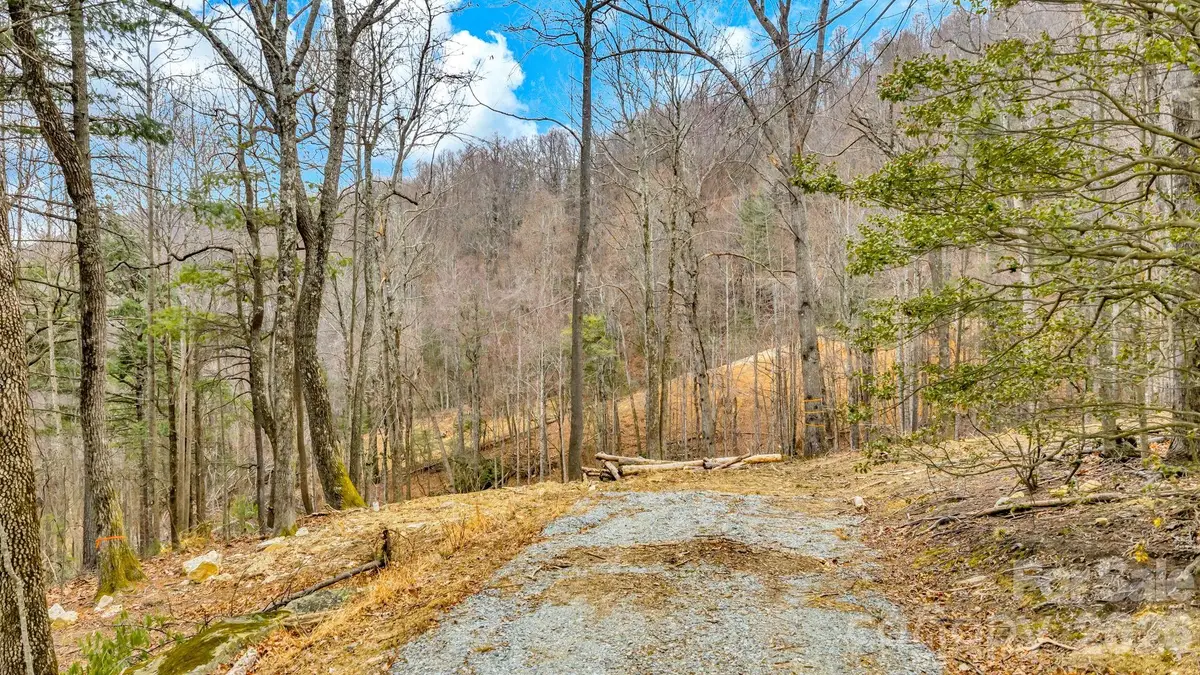 TBD Phillips Gap Road, Purlear, NC 28665 - #1