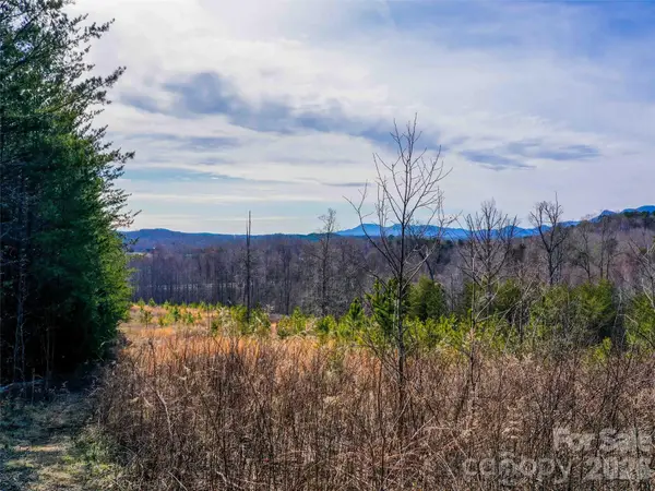 00 Pea Ridge Road, Mill Spring, NC 28756