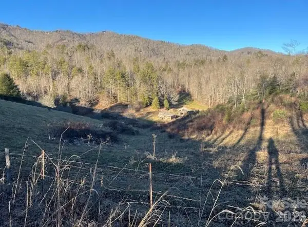 00000 Shelton Laurel Road, Clyde, NC 28721