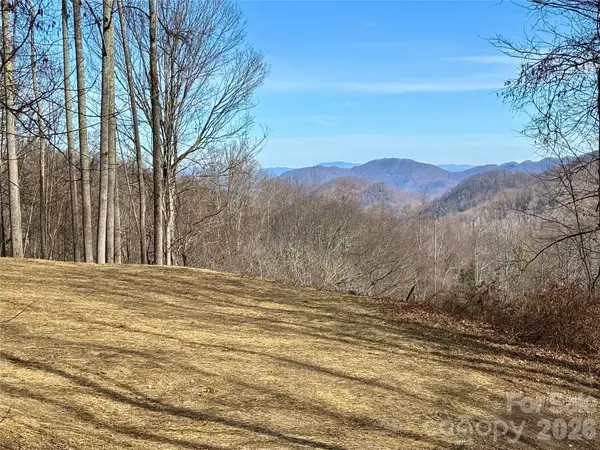(NE Lot) Meadow Fork Road, Hot Springs, NC 28743