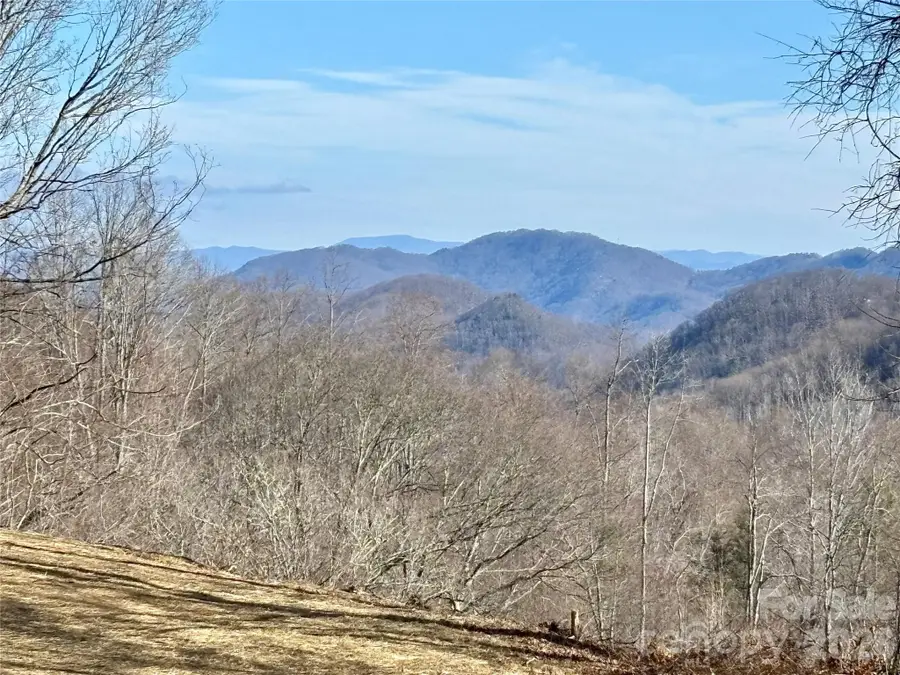 (NE Lot) Meadow Fork Road, Hot Springs, NC 28743 - #2
