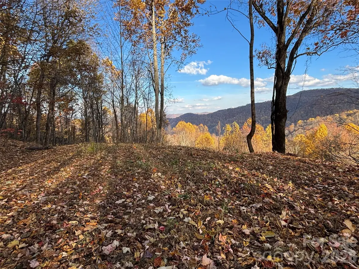 (North Lot) Meadow Fork Road, Hot Springs, NC 28743 - #1
