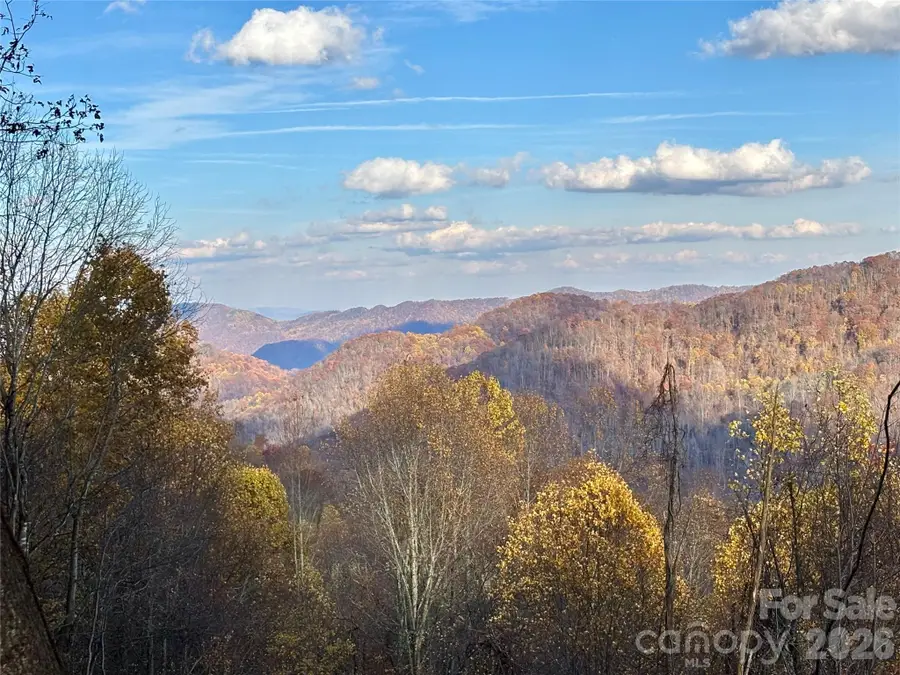 (North Lot) Meadow Fork Road, Hot Springs, NC 28743 - #2