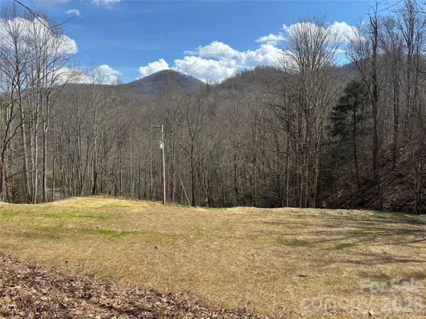 (South Lot) Meadow Fork Road, Hot Springs, NC 28743