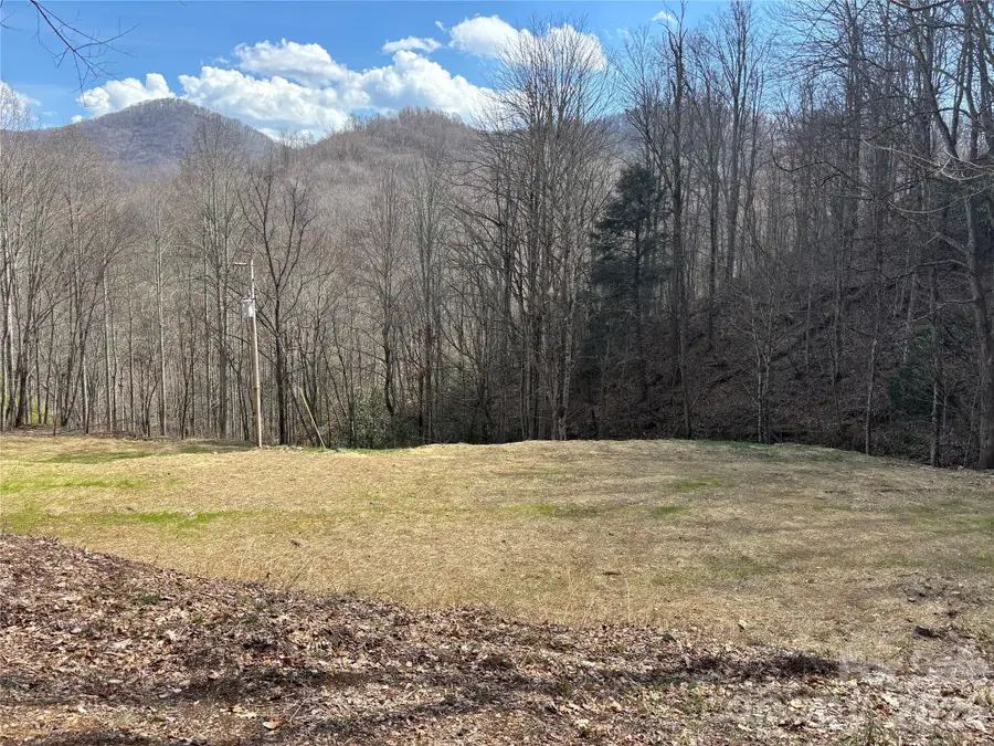 (East Lot) Meadow Fork Road, Hot Springs, NC 28743 - #2