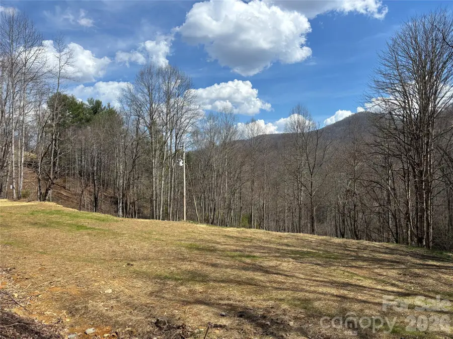 (East Lot) Meadow Fork Road, Hot Springs, NC 28743 - #3