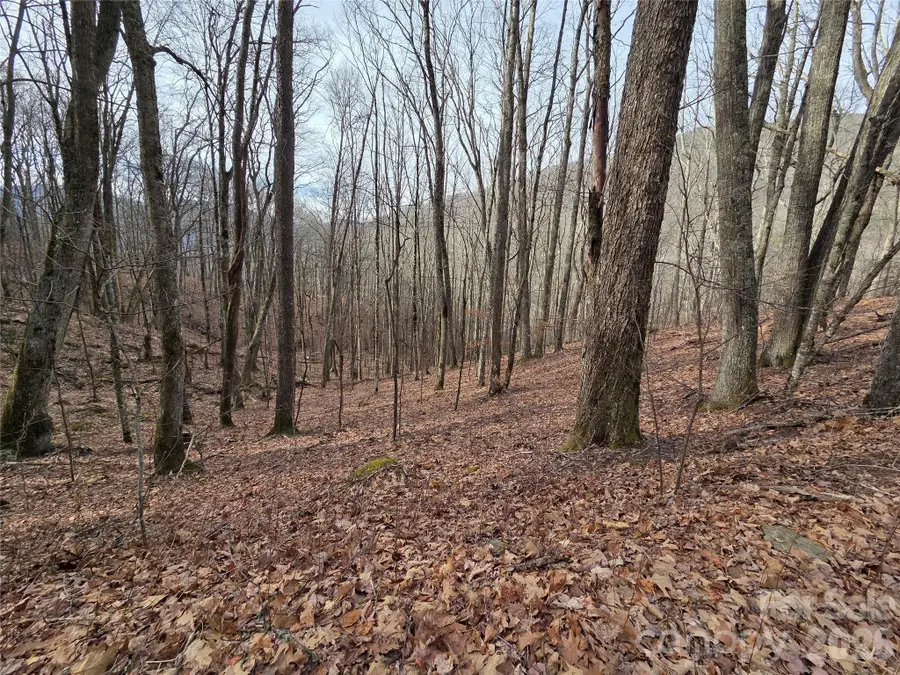 180 Goat House Way, Maggie Valley, NC 28751 - #2