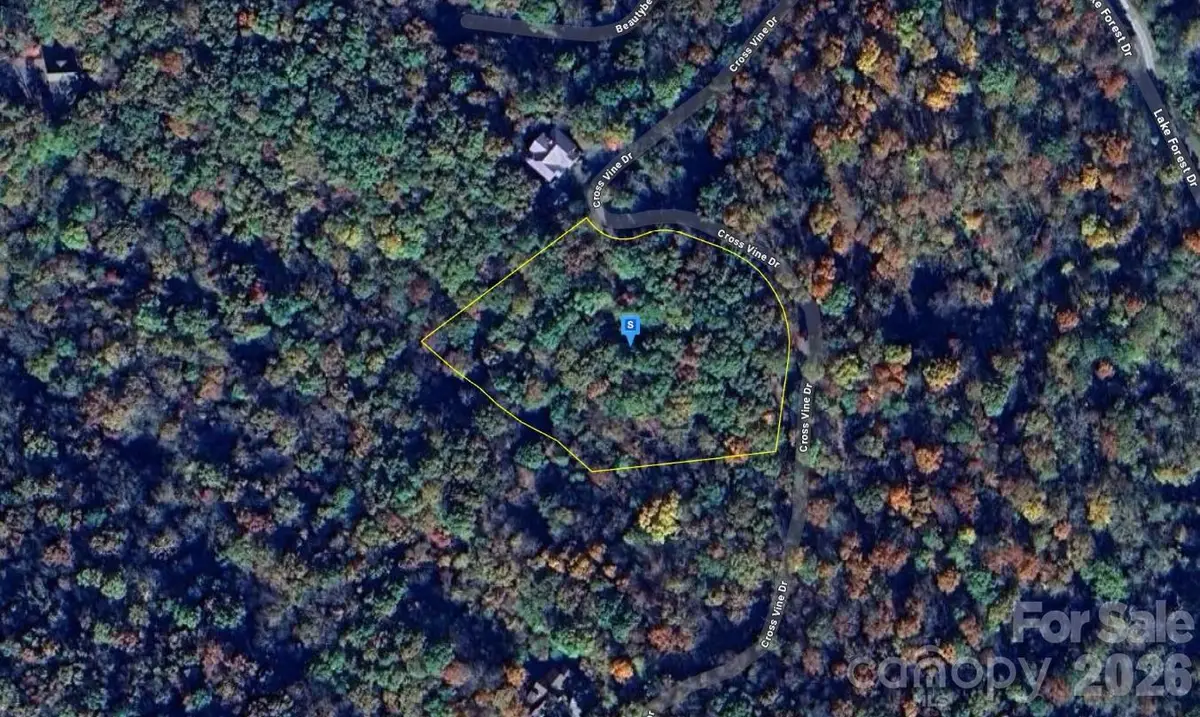 243 Cross Vine Drive, Tuckasegee, NC 28783 - #1