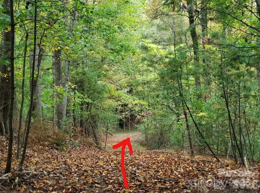 00 Hickory Wood Trail #20,21, Hendersonville, NC 28739 - #3