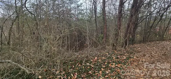 Lot 2 Kuykendall Lane, Canton, NC 28716