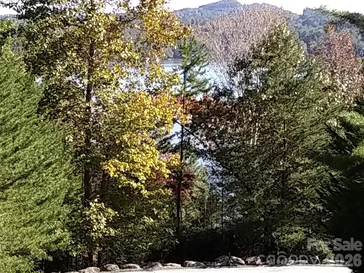 0 Hilltop None #41, Lake Lure, NC 28746 - #1