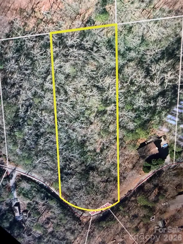 0 Wolf Trail #030, Lake Lure, NC 28746