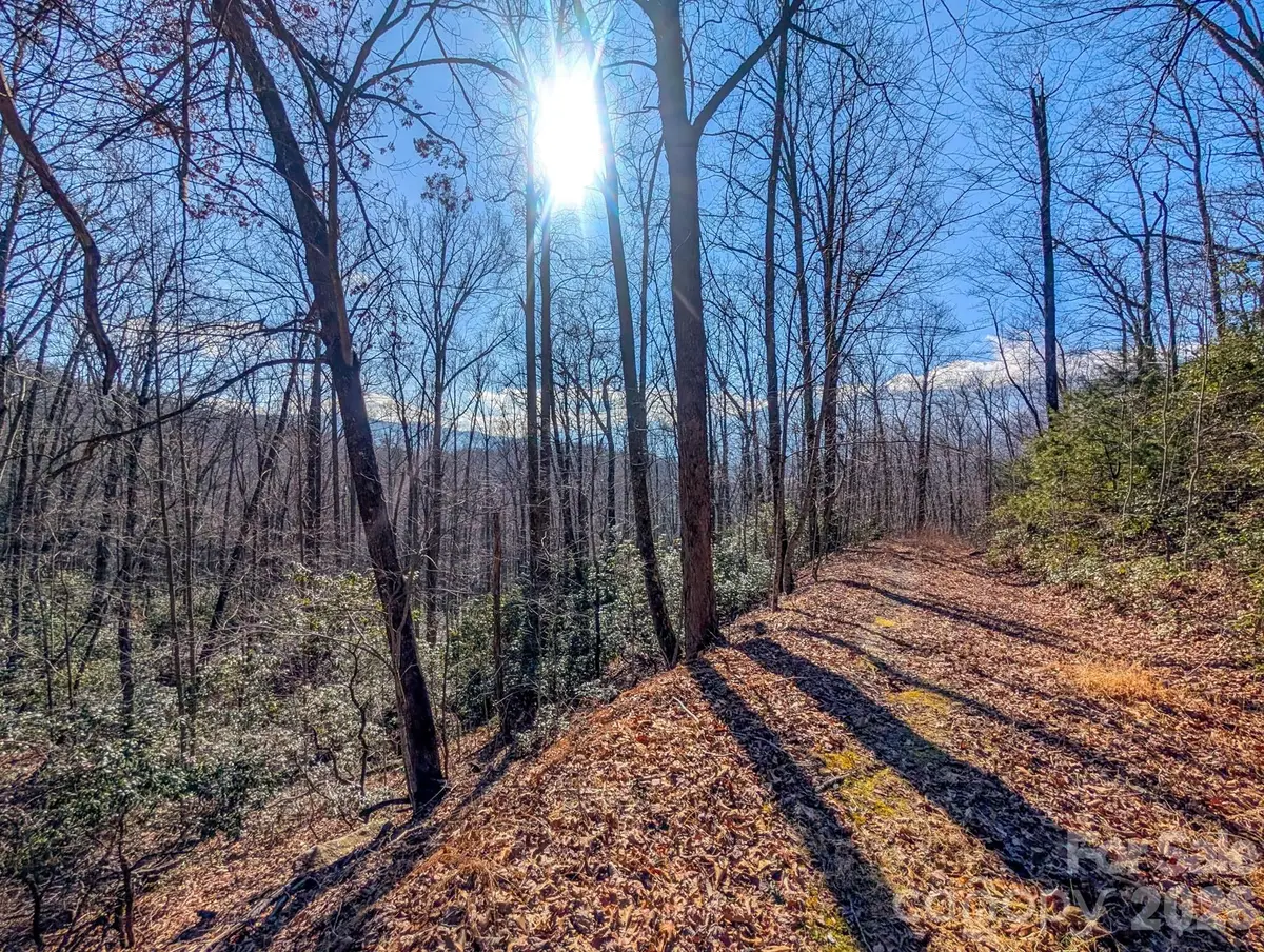 000 Halls Chapel Road, Burnsville, NC 28714 - #1