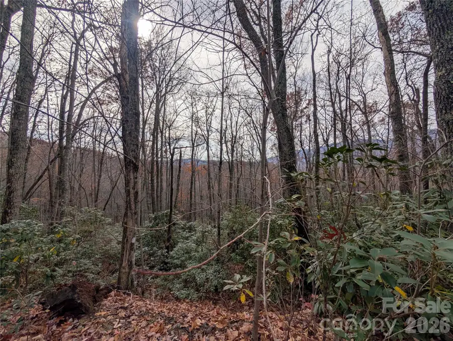 000 Halls Chapel Road, Burnsville, NC 28714 - #3