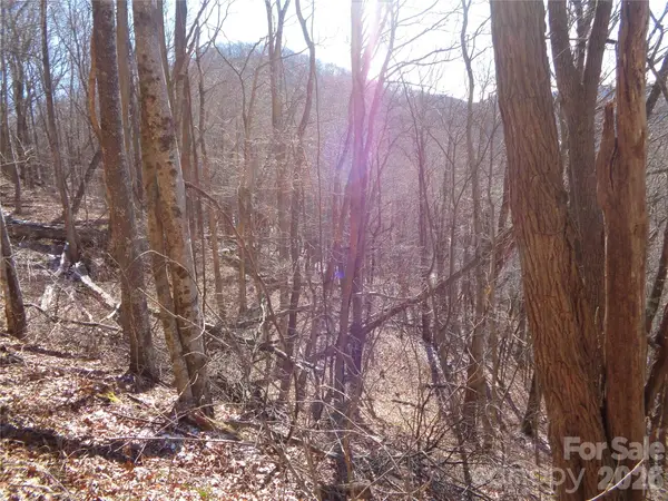 00 Listening Cove #41, Clyde, NC 28721