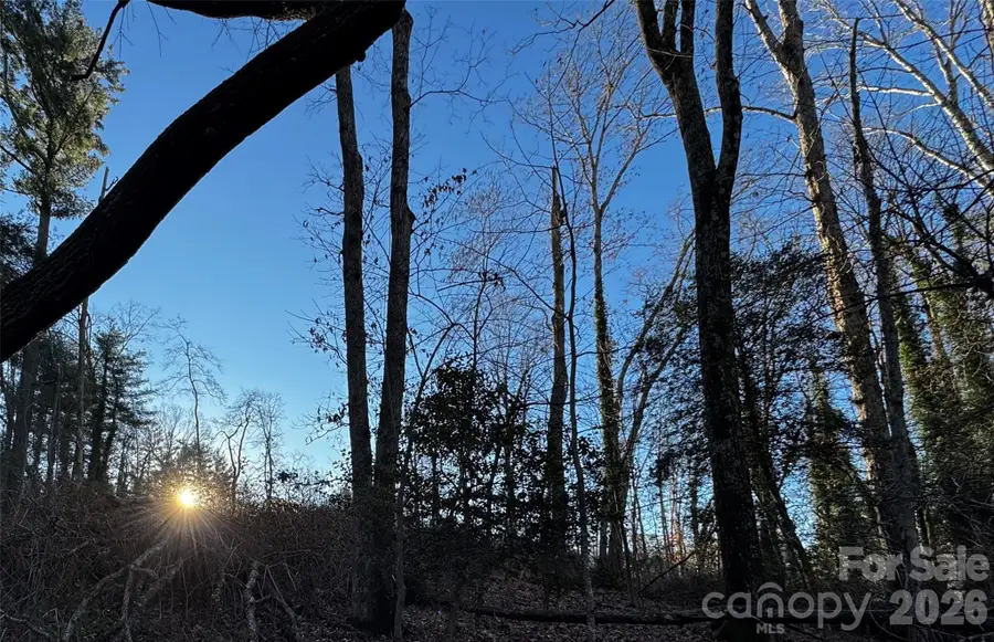 00 Westview Drive #14a - lot 2, Hendersonville Township, NC 28791 - #2