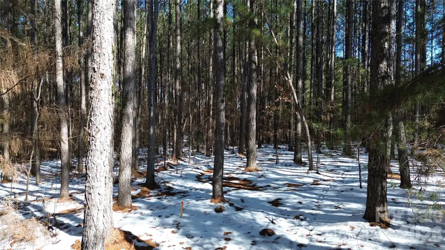 00 Lot 5 Arbor Hills Drive, Lincolnton, NC 28092 - #3