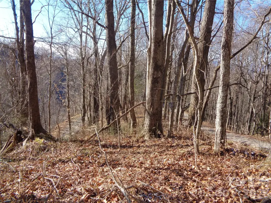 000 Listening Cove #42, Clyde, NC 28721 - #2