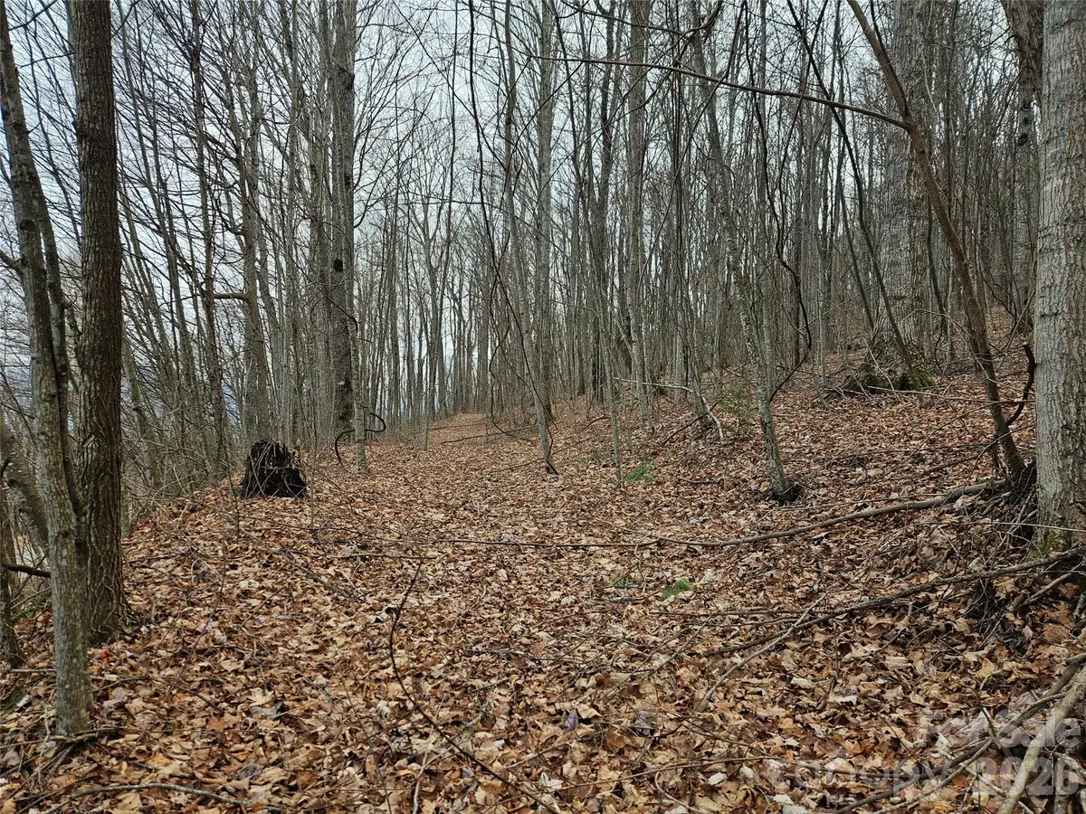 000 Slippery Rock Lane, Waynesville, NC 28785 - #1