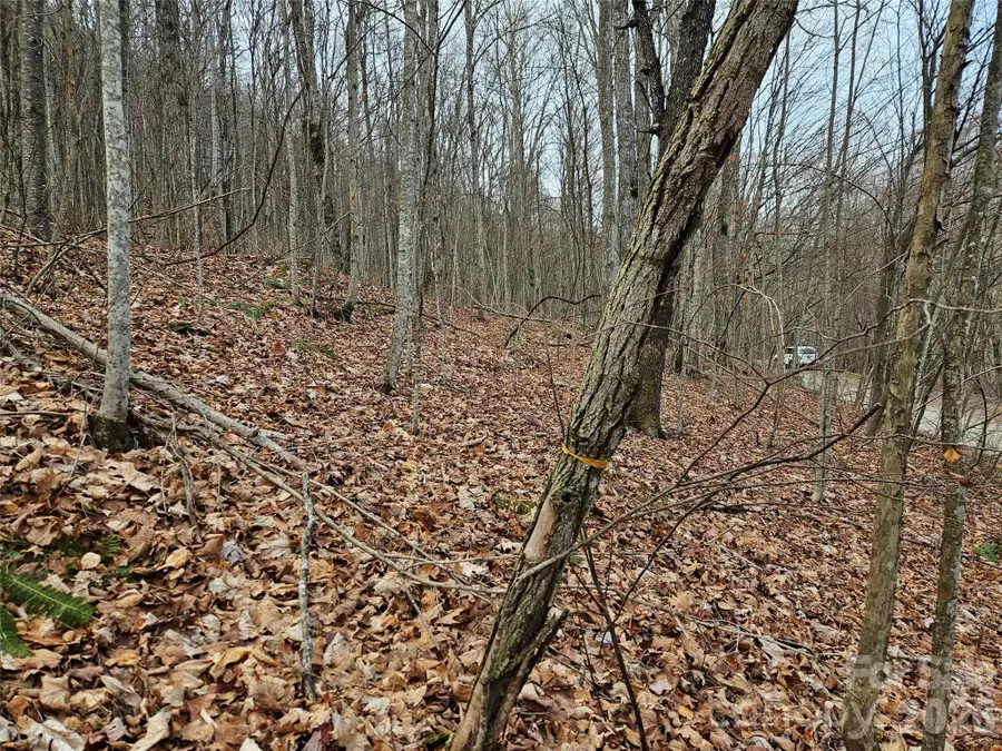 000 Slippery Rock Lane, Waynesville, NC 28785 - #3