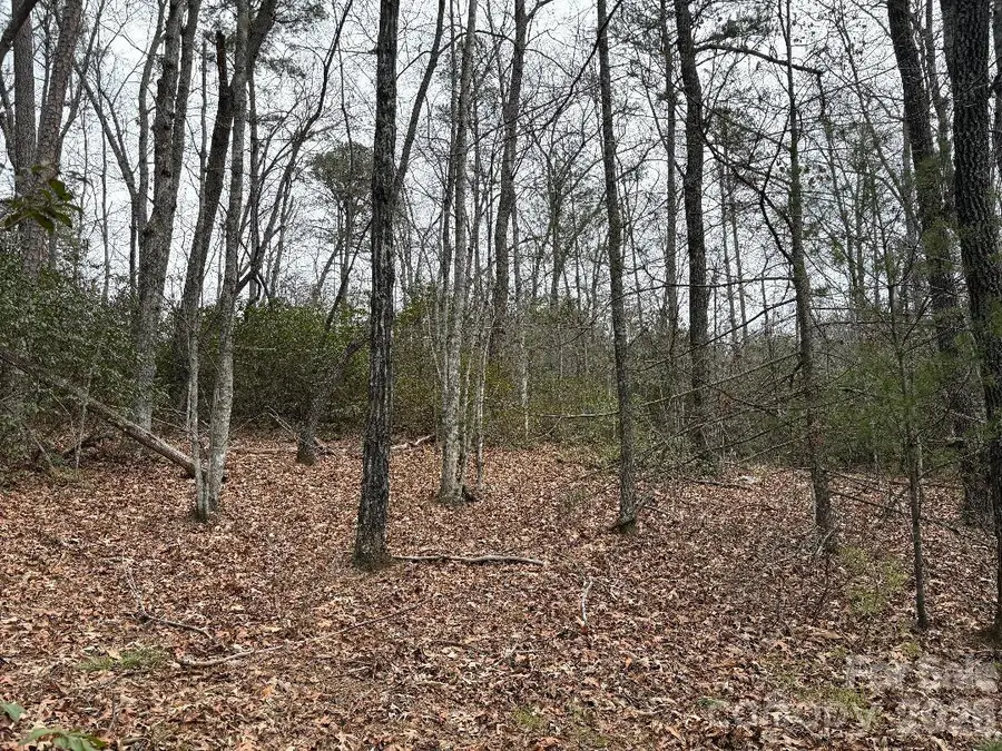 Lot 106 Ravenswood Drive, Marion, NC 28752 - #3