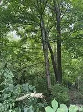 0 Bishop Lane, Mill Spring, NC 28756