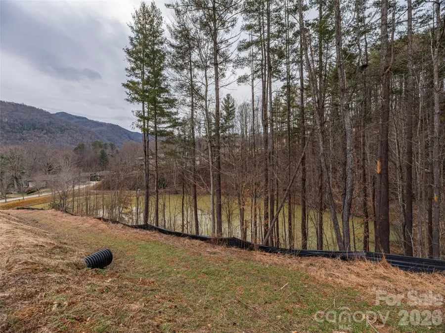 9 Freshwater Cove, Maggie Valley, NC 28751 - #3