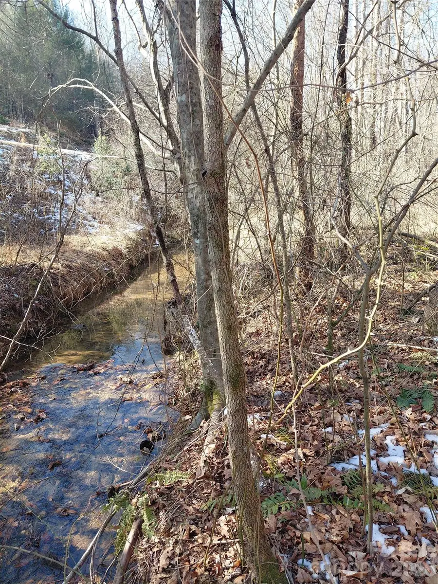 3825 Wood Glen Drive #5, Morganton, NC 28655 - #2