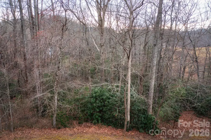 38 Gollum Drive, Fairview, NC 28730 - #3