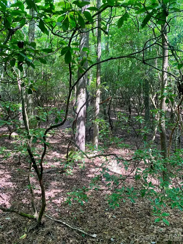 6 Double Creek Road #6, Brevard, NC 28712