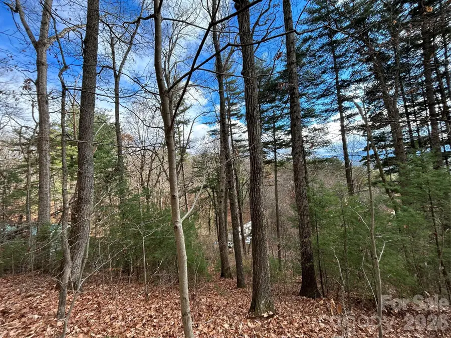 99999 Cowan Cove Road, Asheville, NC 28806 - #2