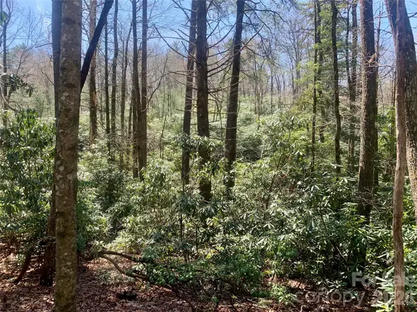 Lot 20A Indian Lake Road #20A, Lake Toxaway, NC 28747