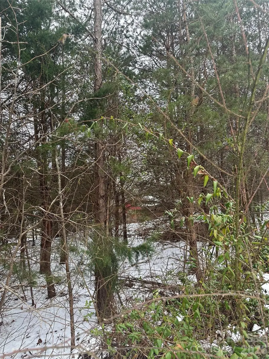 000 Norman Parker Road, Lawndale, NC 28090 - #3